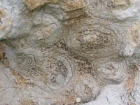 Albums/20060800-China Aug 2006/20060804-Shenyang University/70